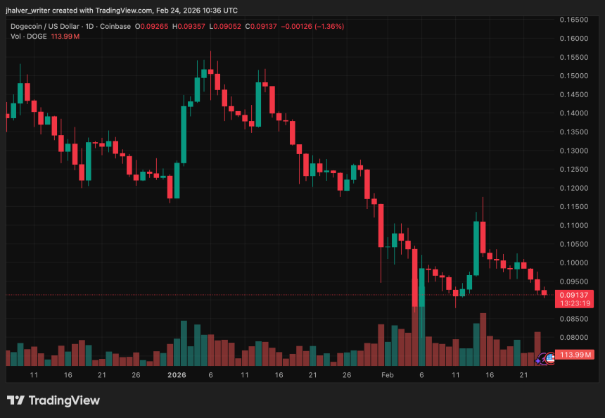 DOGEUSD_2026-02-24_11-36-41.png