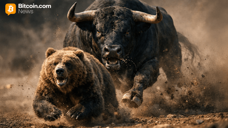dddbears-768x432-1.png