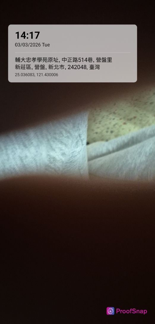 capture_1772518683052.jpg