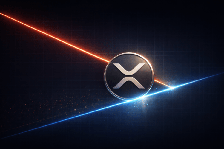 xrp_221a2f.png