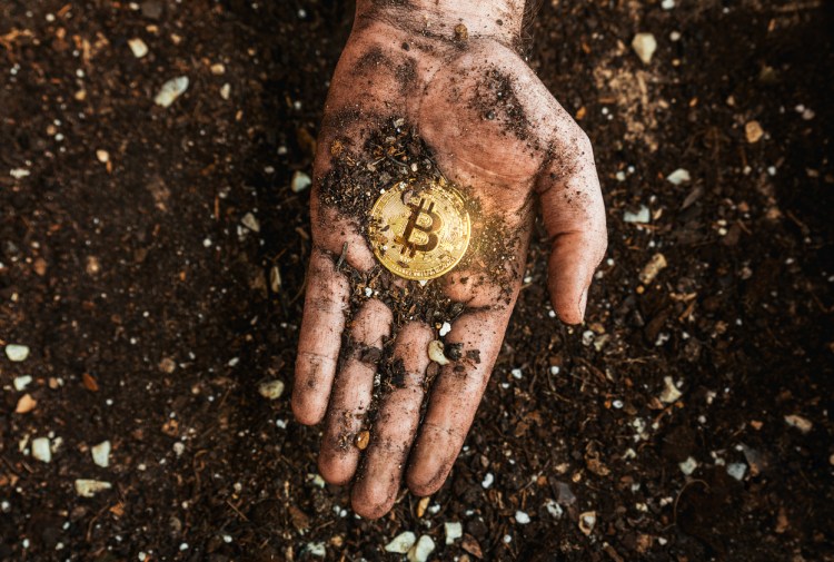 iStock-1314151934.jpg