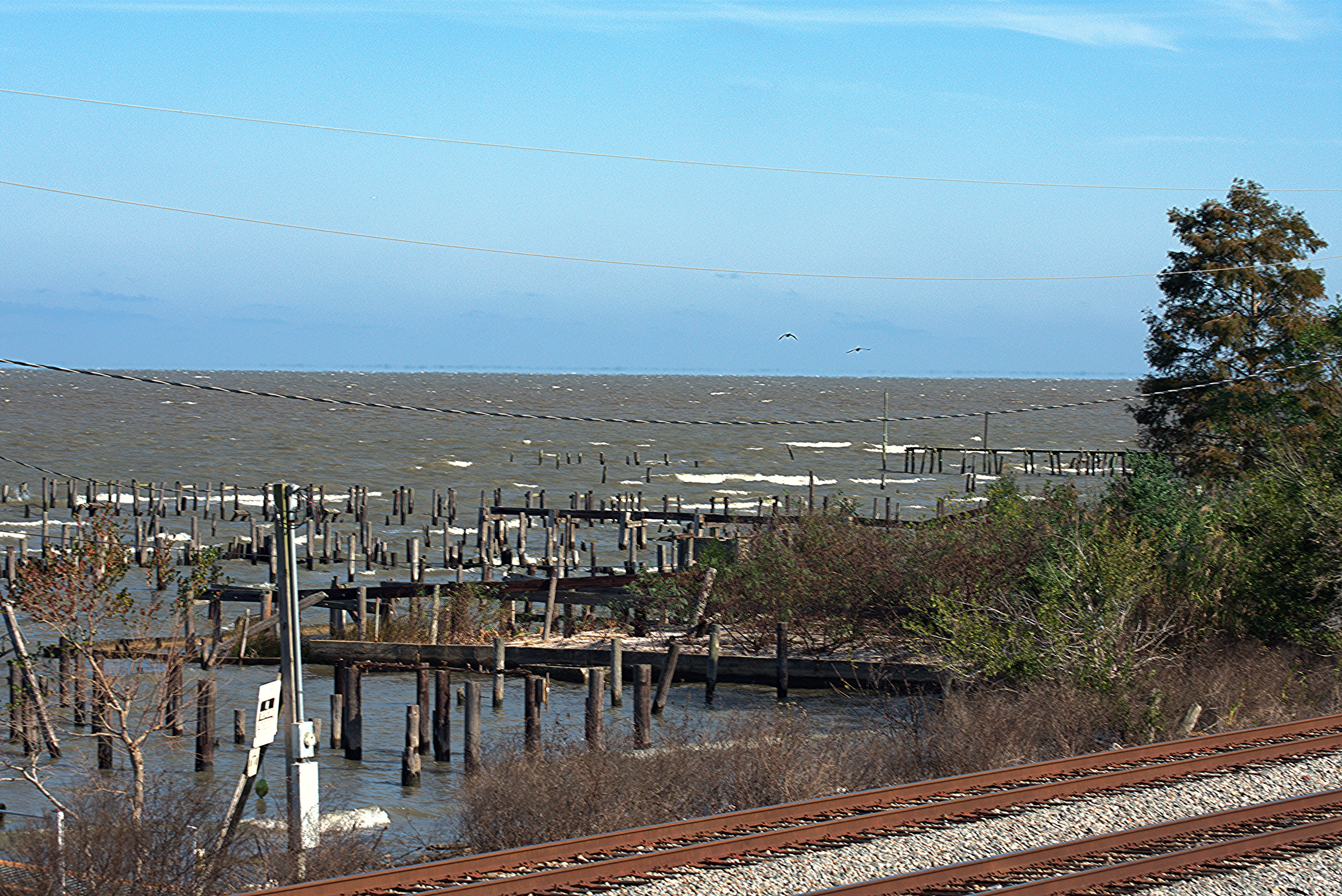 Behind The Levee.jpg