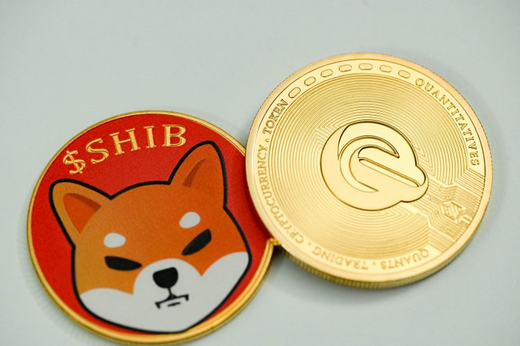 Shiba-Inu-from-Unsplash.jpeg