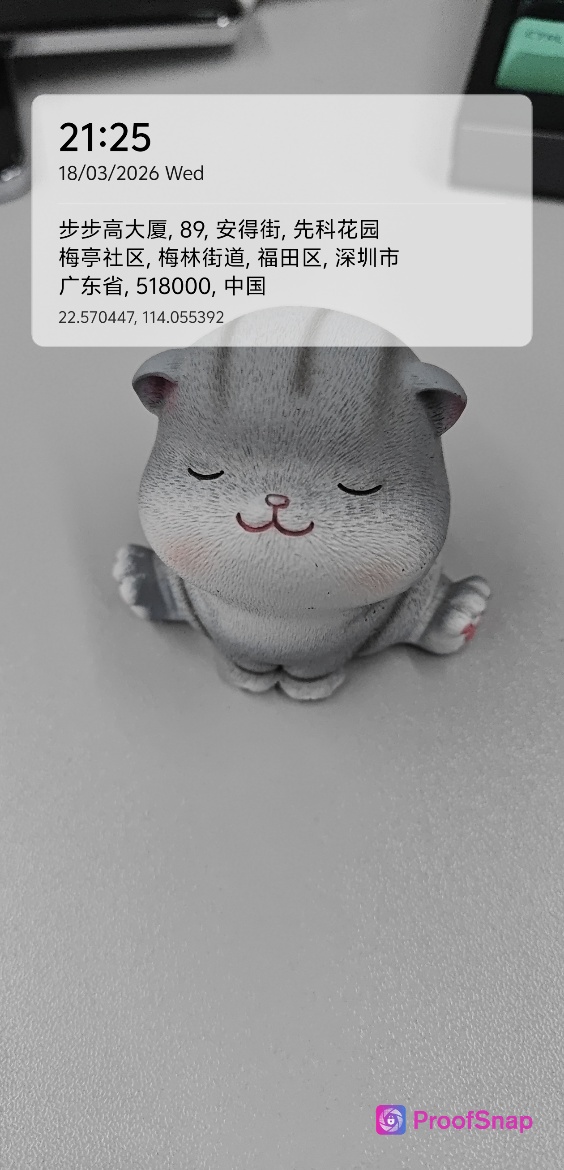 capture_1773840349725.jpg