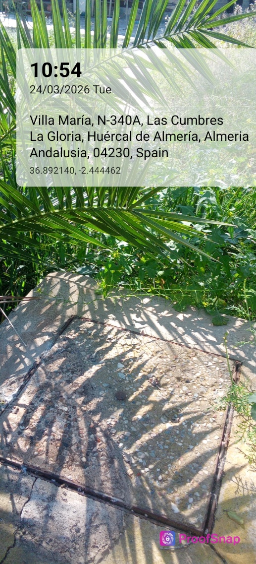 capture_1774346045496.jpg