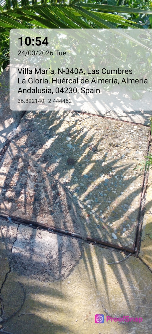 capture_1774346058252.jpg