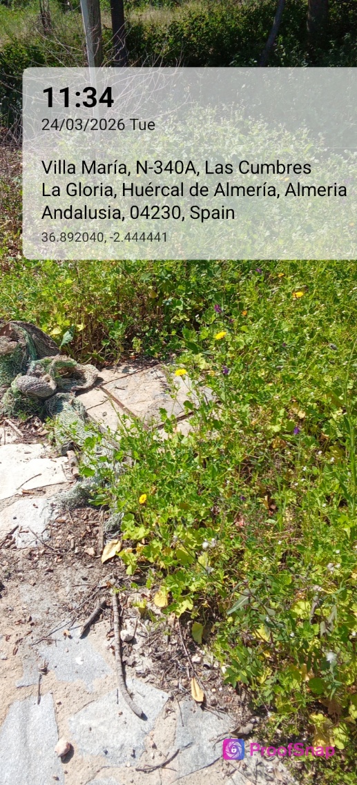 capture_1774348480597.jpg
