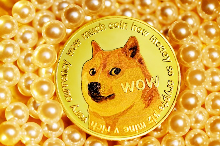 doge.jpg
