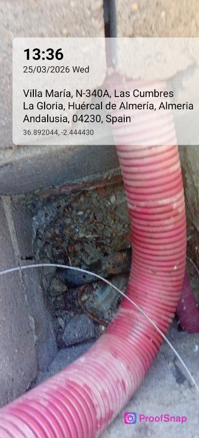 capture_1774442197654.jpg