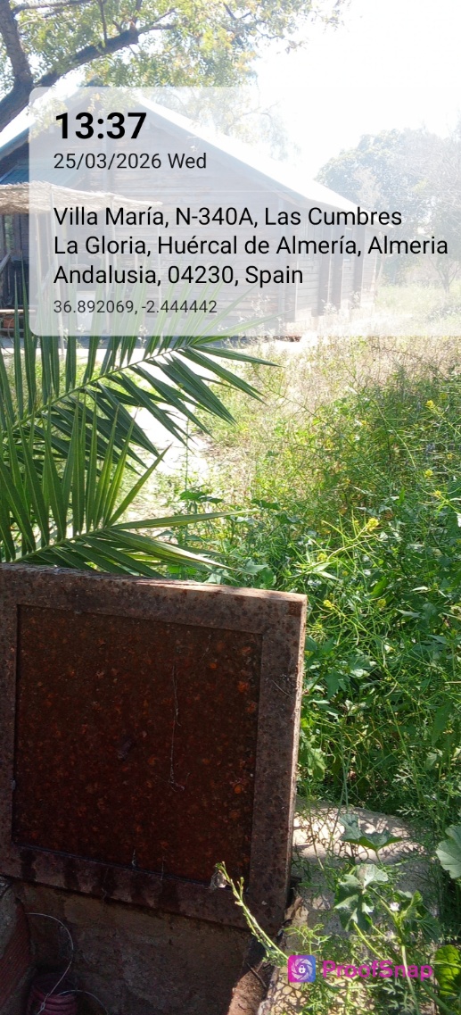 capture_1774442245618.jpg