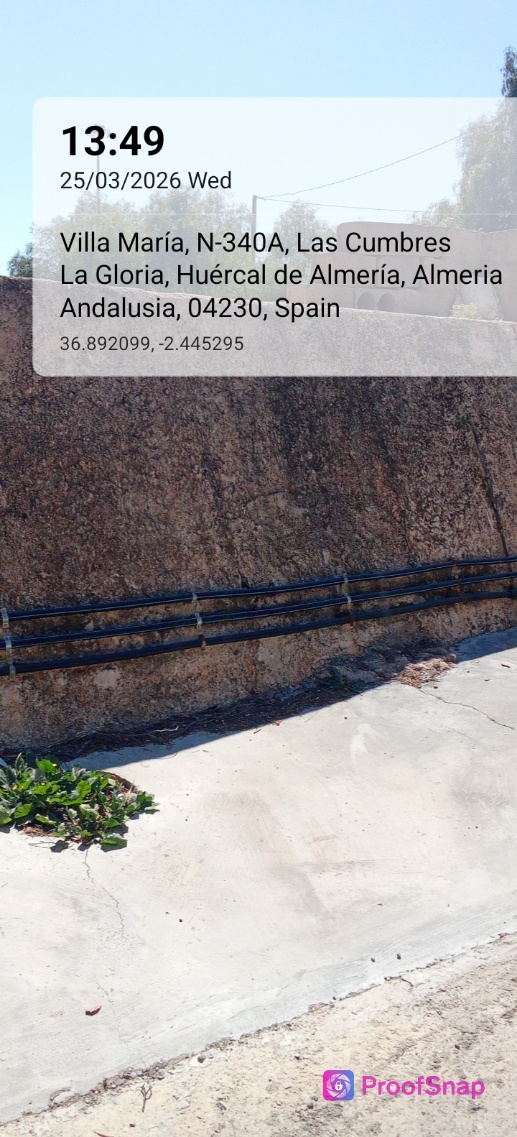 capture_1774442964110.jpg