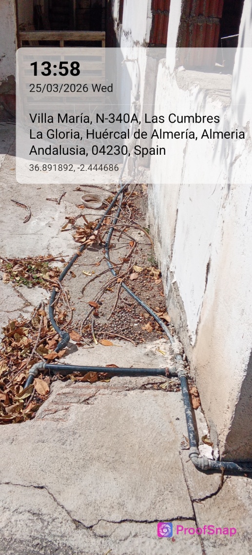 capture_1774443516690.jpg