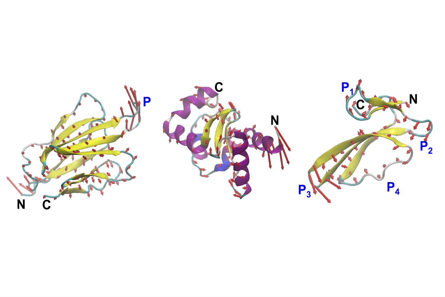 MIT-cee-VibeGen-protein.png