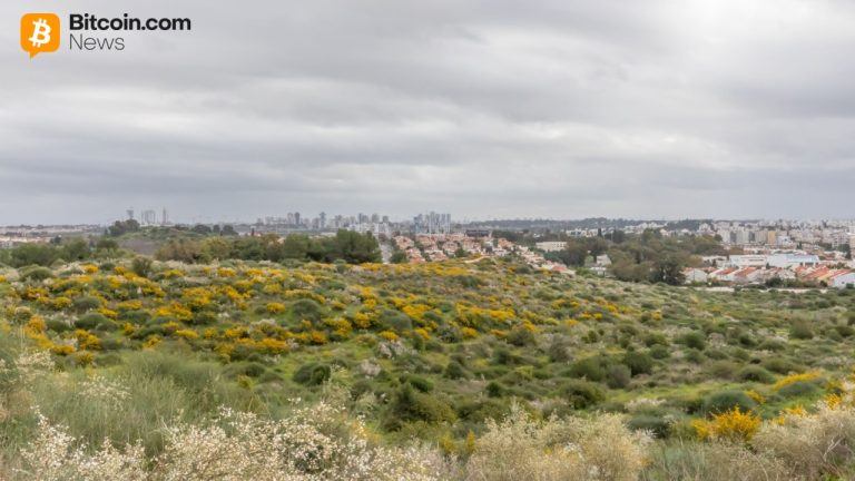 nes-ziona-israel-768x432-1.jpg