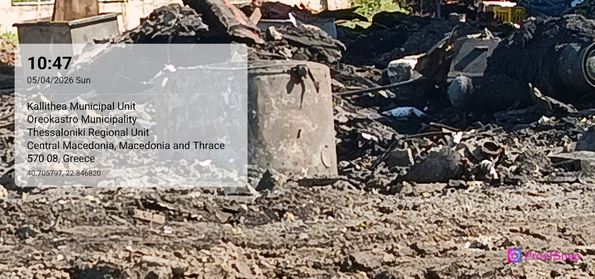 capture_1775375241100.jpg