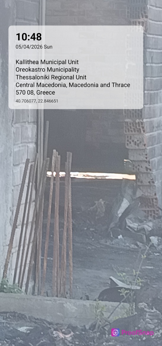 capture_1775375332552.jpg