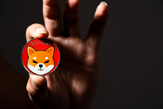 Shiba-Inu-from-Adobe-Stock-11.jpg
