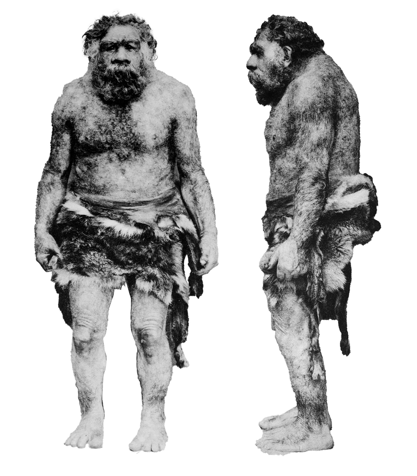 neanderthals.jpg
