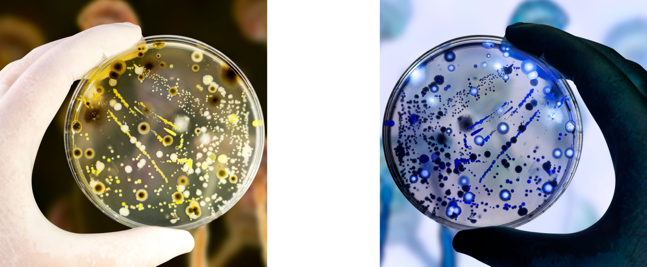 mirror-dishes-scaled.jpg