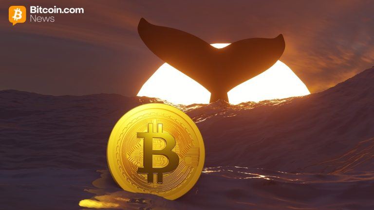 tim-drapers-250000-btc-call-new-whale-data-and-more-week-in-review-768x432-1.jpg