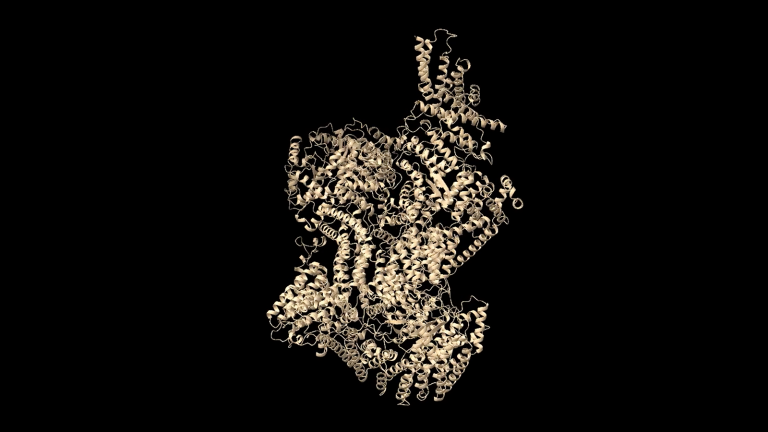 biomolecule-1-768x432-1.png