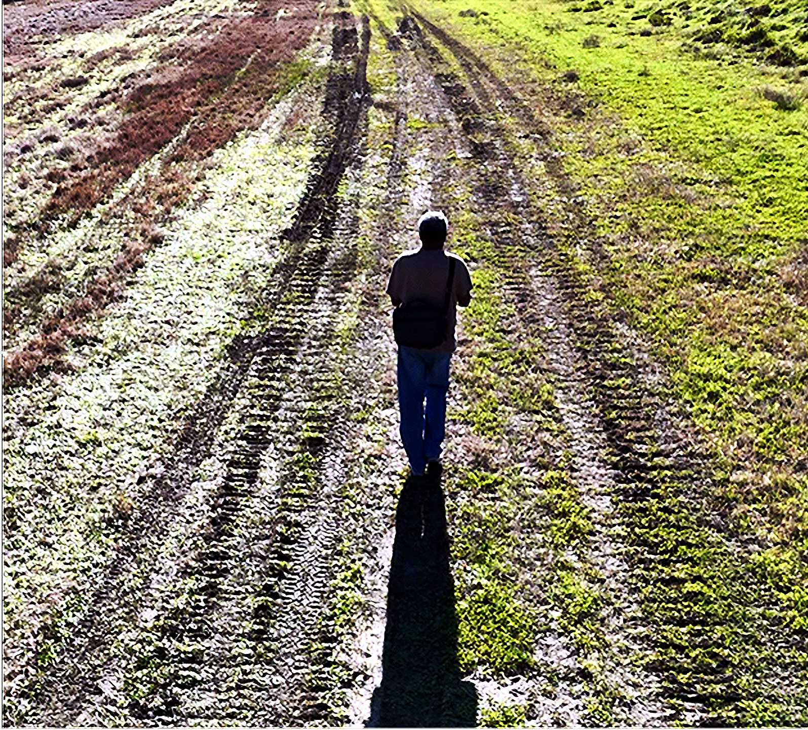 AirShotImages on the New Orleans Levee.png