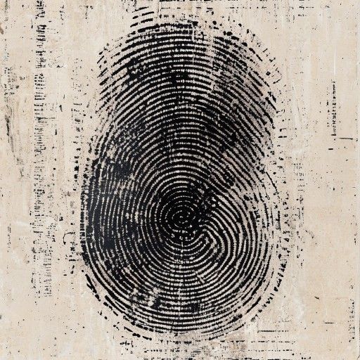 provart_2573509_244.jpg