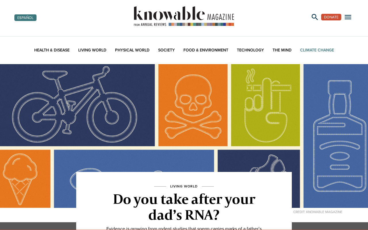 newsprove_3415641_1778415465.png