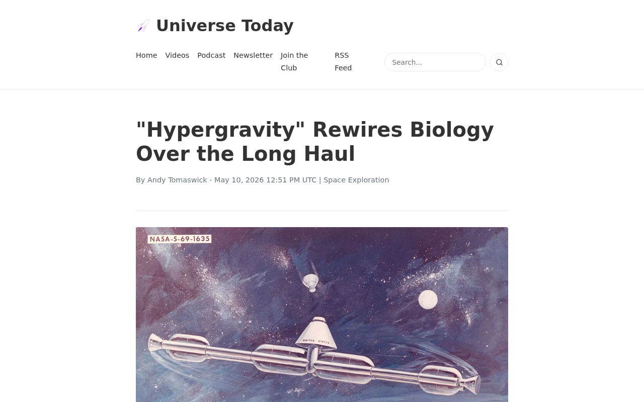newsprove_206644_1778488944.png