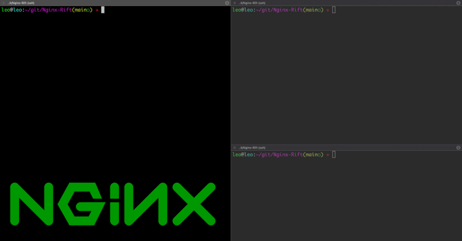 nn.gif