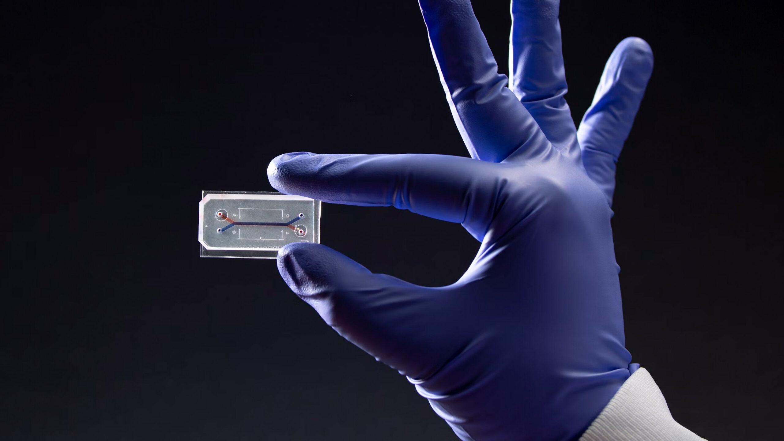 Lymph-Node-Chip-0709-1-scaled.jpg