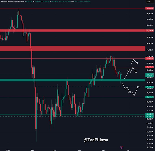 Bitcoin-chart-from-Ted-Pillows.png
