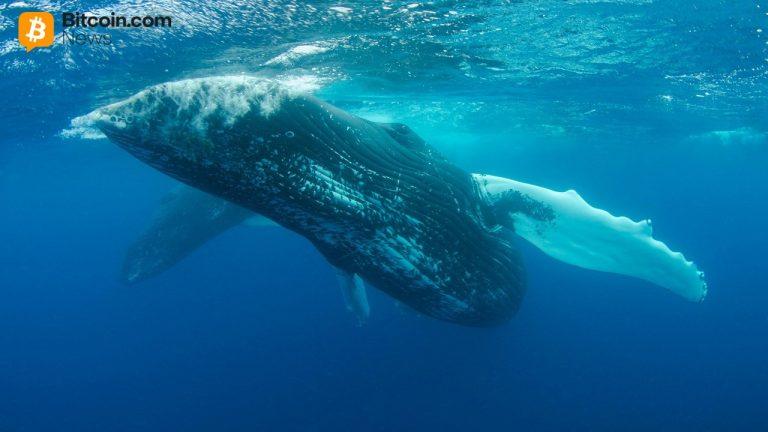 whale-who-spent-62m-on-uniswap-and-compound-tokens-is-now-selling-at-a-39-7m-loss2-768x432-1.jpg