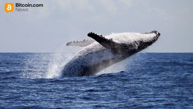 whale-dumps-100m-eth-short-pivots-to-13-4m-bitcoin-bet-at-20x-leverage-768x432-1.jpg