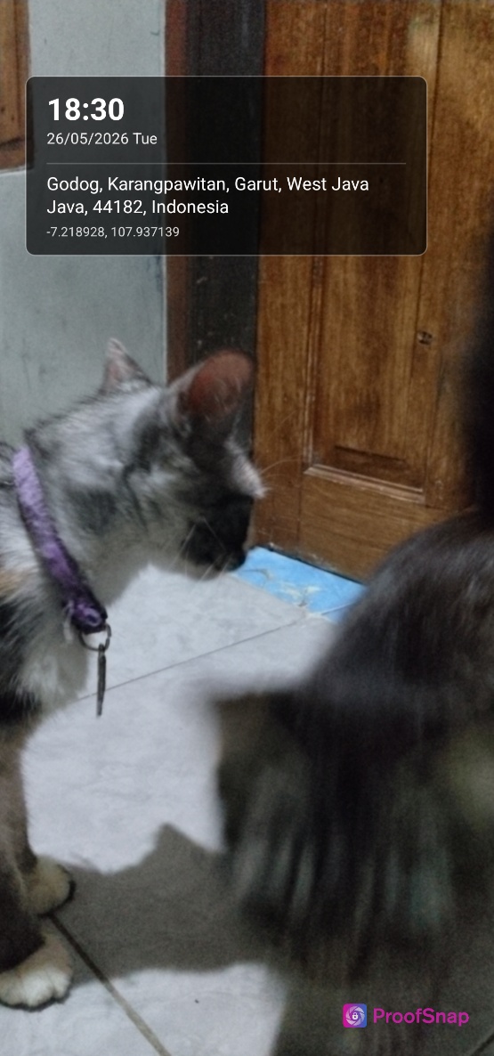 capture_1779795051926.jpg